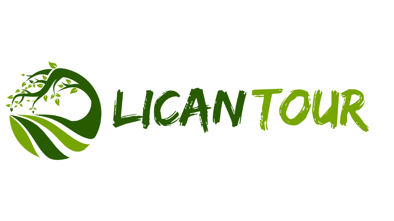 propuesta 5